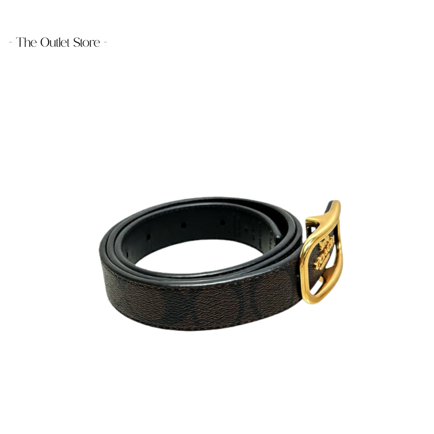 COACH MORGAN RECTANGLE BUCKET BELT